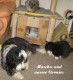 Thumbs/tn_Bild 061.jpg